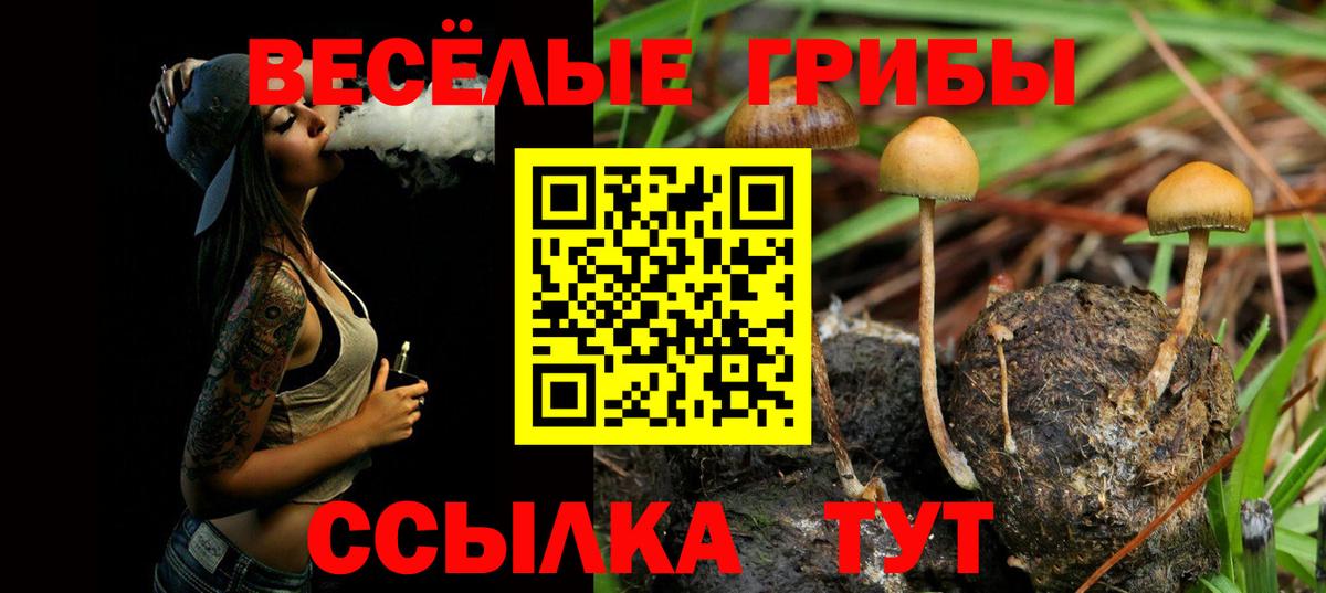 Псилоцибиновые грибы Psilocybe  Вход с VPN  Прокопьевск 